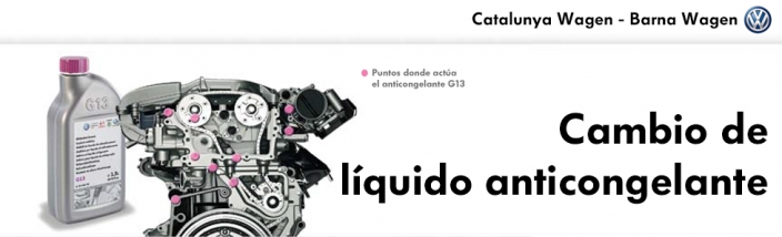 Cambio líquido anticongelante G13 desde 65€*